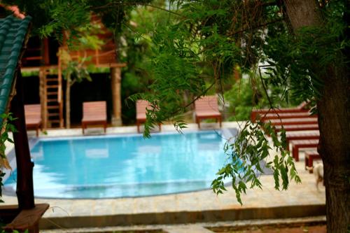 uma piscina com duas cadeiras e uma árvore em Sunrise Udawalawe Resort em Udawalawe