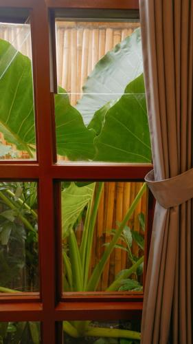 a window with a view of a large green plant at Uma Rimbun Pool Villa by Uniquecations in Ubud