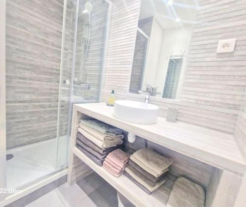 une salle de bain avec un lavabo et une douche dans l'établissement Rez de Jardin port santa lucia, à Saint-Raphaël
