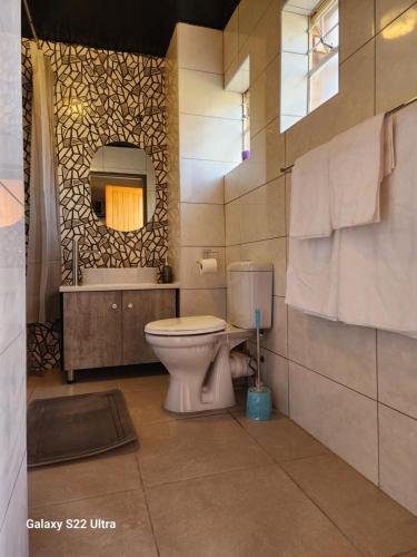 Un baño con inodoro, lavabo y espejo. en Aurora Inn Clarens, en Clarens