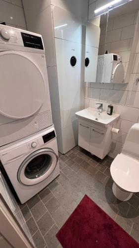 a bathroom with a washing machine and a sink at Perfect winterhouse in Sälen in Sälen