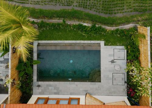 an overhead view of a swimming pool in a yard at Uma Rimbun Pool Villa by Uniquecations in Ubud