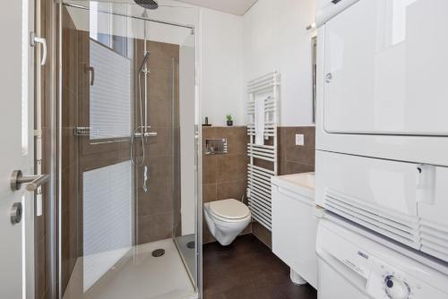 La salle de bains est pourvue de toilettes et d'une douche en verre. dans l'établissement Casa Milla, Apartment Langenthal, à Langenthal