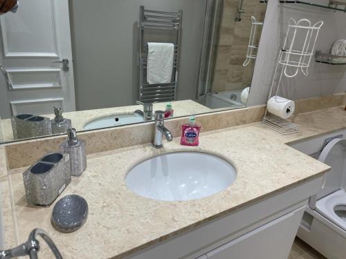 W łazience znajduje się umywalka i lustro. w obiekcie Falcon Baker Street Apartment w Londynie