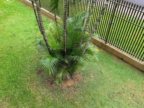 Imagem da galeria de Apartamento em vila Industrial Bloco 03 Ap 202 em Toledo