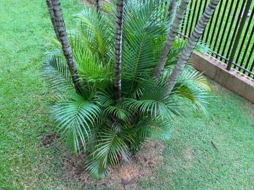 Imagem da galeria de Apartamento em vila Industrial Bloco 03 Ap 202 em Toledo