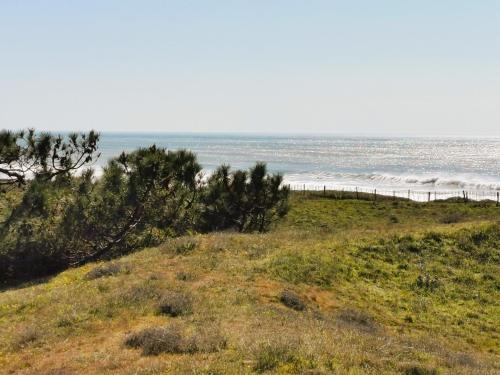 a view of the ocean from a hill with trees at Case Couleur proche de la mer in Brem-Sur-Mer