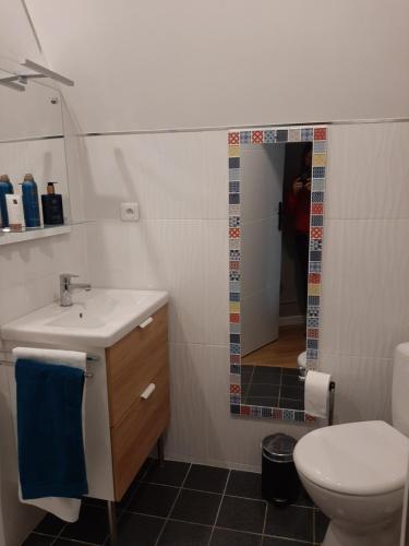 uma casa de banho com um lavatório, um WC e um espelho. em Le Refuge du Hibou em Beaurains