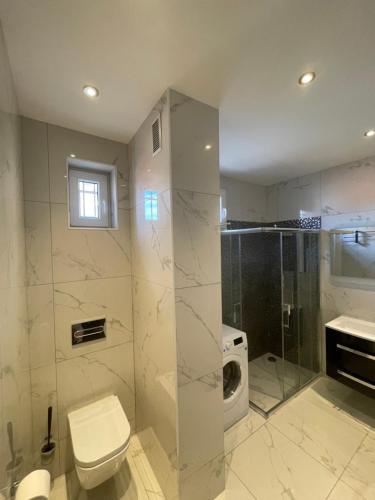 une salle de bain avec toilettes, douche et lavabo dans l'établissement Magnifique appartement avec vue sur mer, à Nice