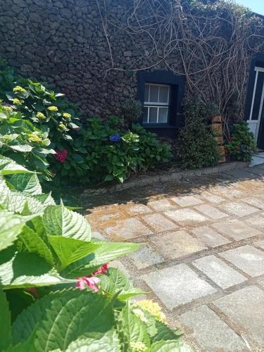 a garden with flowers and a building with a window at O Anexo in Angra do Heroísmo