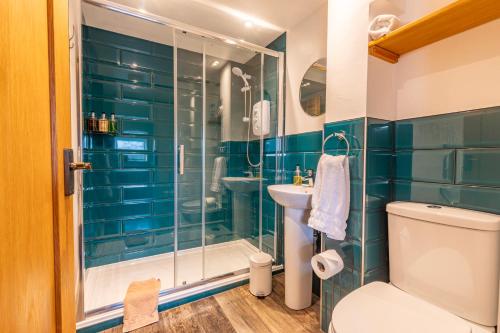 a bathroom with a shower and a toilet and a sink at Captains Lookout (Studio apartment) in Brecon