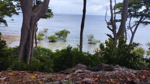 vista sull'acqua dalla costa di Blue Whale Resort and Restaurant a Neil Island