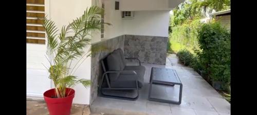 une terrasse avec un canapé, une table et une plante dans l'établissement Résidence des Iles, à Les Abymes