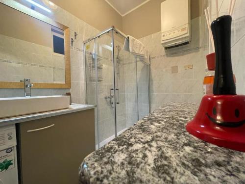 a bathroom with a shower and a sink and a counter at Appartamento Borgosesia Cuore Matto in Borgosesia