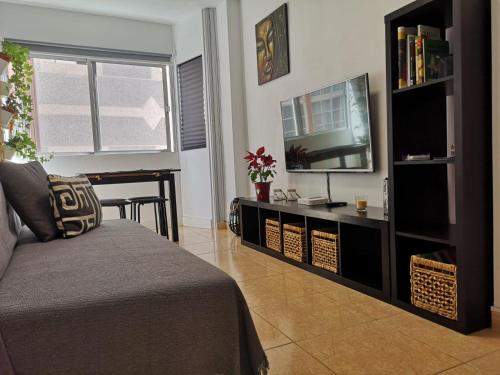 salon z kanapą i telewizorem w obiekcie BKD1 - Apartamento entero a 50 metros PLAYA DE LAS CANTERAS w mieście Las Palmas de Gran Canaria