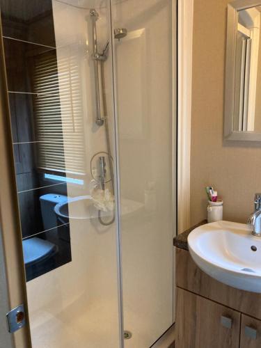 a bathroom with a shower and a sink at Bluebell in Ferndown