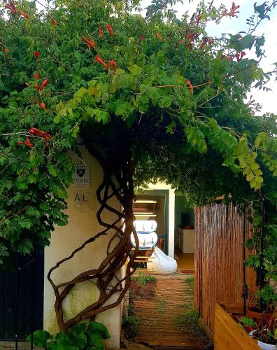 a tree in the middle of a garden at Conde Surf Camp - junto ao mar - entire pvt house in Vila do Conde