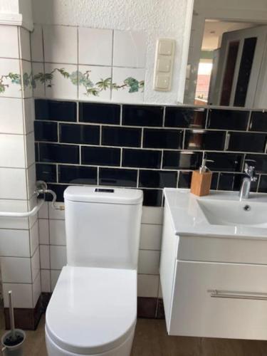 a bathroom with a white toilet and a sink at Wohnen im Grünen bei der Töpferei in Erfurt