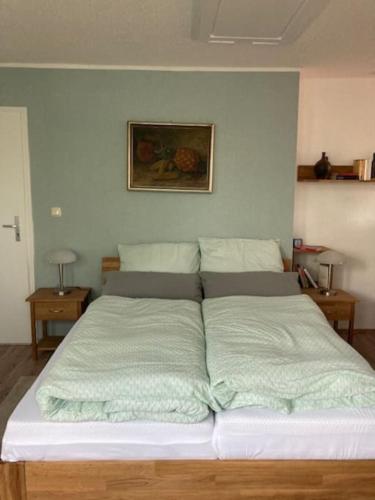 Bett in einem Zimmer mit zwei Kissen darauf in der Unterkunft Wohnen im Grünen bei der Töpferei in Erfurt