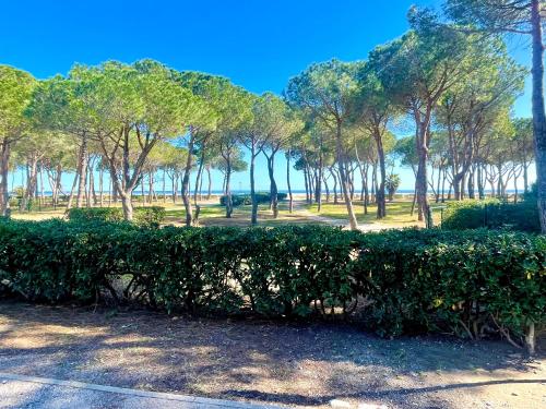 a hedge in a park with the ocean in the background at Appart CLIM , WIFI, PLAGE 200 mètres in Argelès-sur-Mer