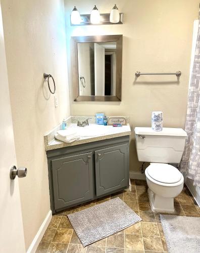 a bathroom with a sink and a toilet and a mirror at Fondren Summer Getaway 5 Minutes to Major Hospitals in Jackson