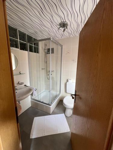ein Bad mit einer Dusche, einem WC und einem Waschbecken in der Unterkunft Pension Unterreichenbach in Schwabach