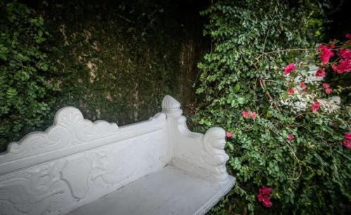 Zahrada ubytování 5 BR - Sleeps 10! Best Location next to French Quarter!