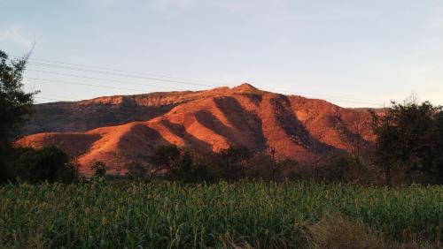 a red rock mountain with a green field in front of it at The Wai Hills MTDC Approved in Wai