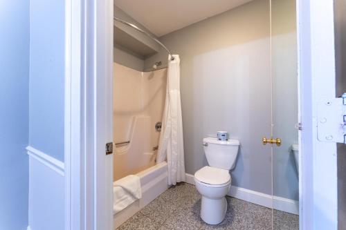 a bathroom with a toilet and a shower at Dan'l Webster Inn and Spa in Sandwich