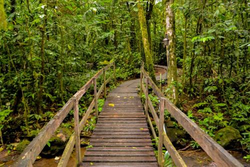 Gallery image of Termales del Bosque & Hot Springs in Quesada