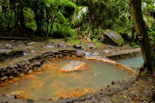Gallery image of Termales del Bosque & Hot Springs in Quesada