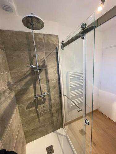 a shower with a glass door in a bathroom at Maison mitoyenne 60m2 en campagne in Montailleur