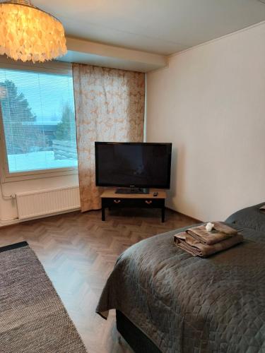 Schlafzimmer mit einem Flachbild-TV und einem Bett in der Unterkunft Viettola in Pielavesi