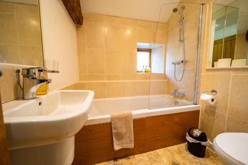 a bathroom with a sink and a tub and a toilet at Dragonfly Cottage, Canal location in Brecon