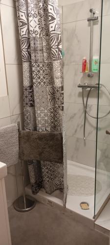 y baño con ducha y cortina de ducha. en Maison de montagne 2 à 8 couchages proche Barcelonette, en Condamine-Châtelard