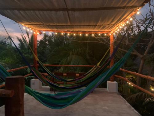 a hammock with lights under a pergola at Sunrise El Paredón in El Paredón Buena Vista