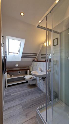 een badkamer met een toilet, een wastafel en een douche bij Parysówka Noclegi w Rzeczce Góry Sowie in Walim