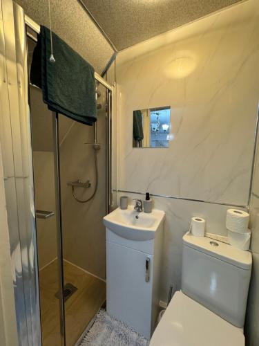 a bathroom with a toilet and a sink and a shower at Oxborne Rooms UK - Seaton in London