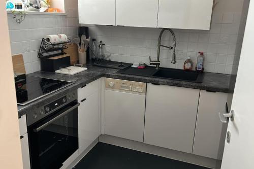 a kitchen with a sink and a stove at Wels Bahnhoft Stadt 80qm Apartment in Wels