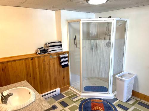 a bathroom with a shower and a sink at Fiddler's Lake Escape in Gabarus