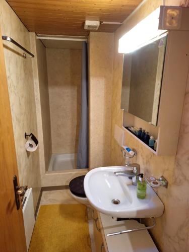 uma pequena casa de banho com um lavatório e um chuveiro em RorschachCity In em Rorschach