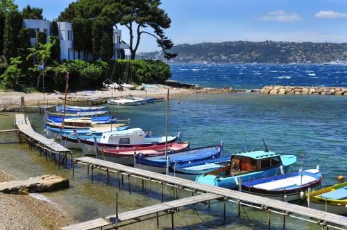 a group of boats docked at a dock in the water at JUAN LES PINS, T2 Cosy et confortable, avec PARKING en sous-sol, proche plages et commerces in Antibes