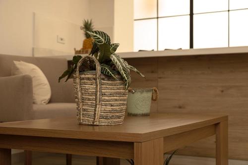 a potted plant sitting on top of a wooden table at Loma Rent Home Guatape in Guatapé