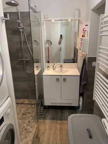 une salle de bain avec une douche, un lavabo et des toilettes dans l'établissement Très belle appartement, à Cagnes-sur-Mer