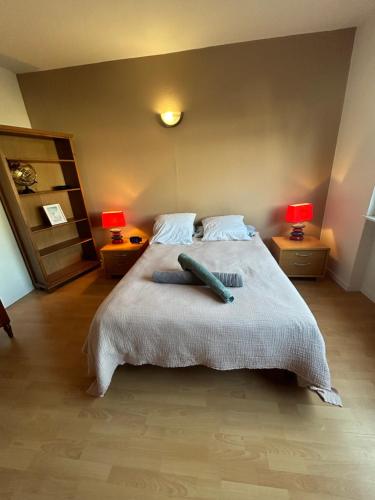 1 dormitorio con 1 cama grande y 2 lámparas en Superbe appartement avec belle terrasse, en Bischheim