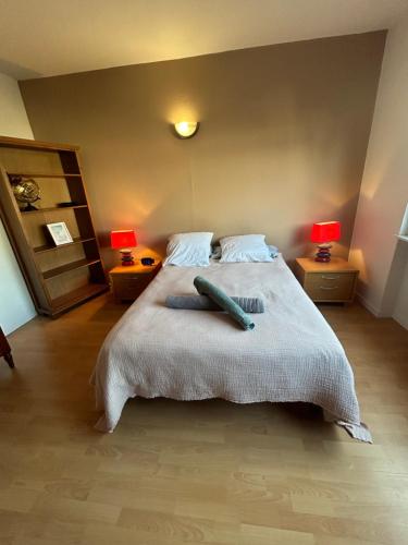 Ένα ή περισσότερα κρεβάτια σε δωμάτιο στο Superbe appartement avec belle terrasse