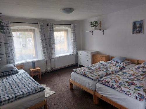 1 dormitorio con 2 camas y 2 ventanas en Chalupa U přátel en Kovářská