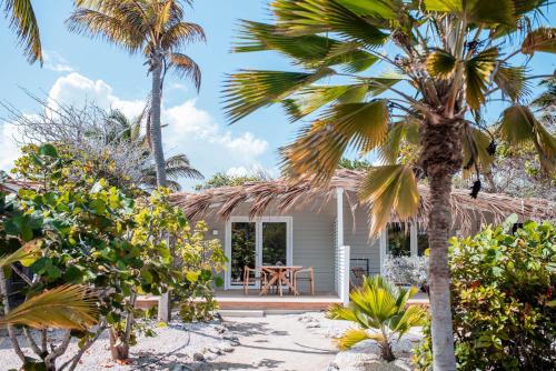 a house on the beach with a palm tree at Sorobon Luxury Beach Resort in Kralendijk