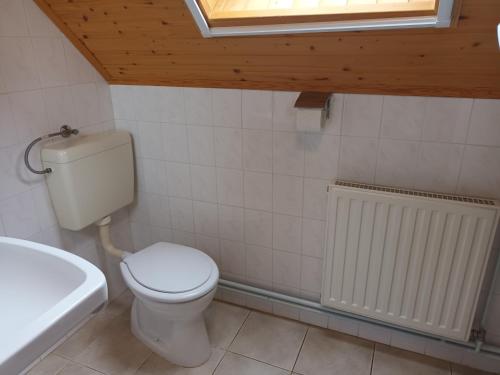 a bathroom with a toilet and a sink at Kéknefelejcs Vendégház in Tapolca