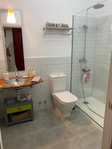 a bathroom with a toilet and a shower and a sink at La casa de Alejandra, planta alta. in Perales del Puerto